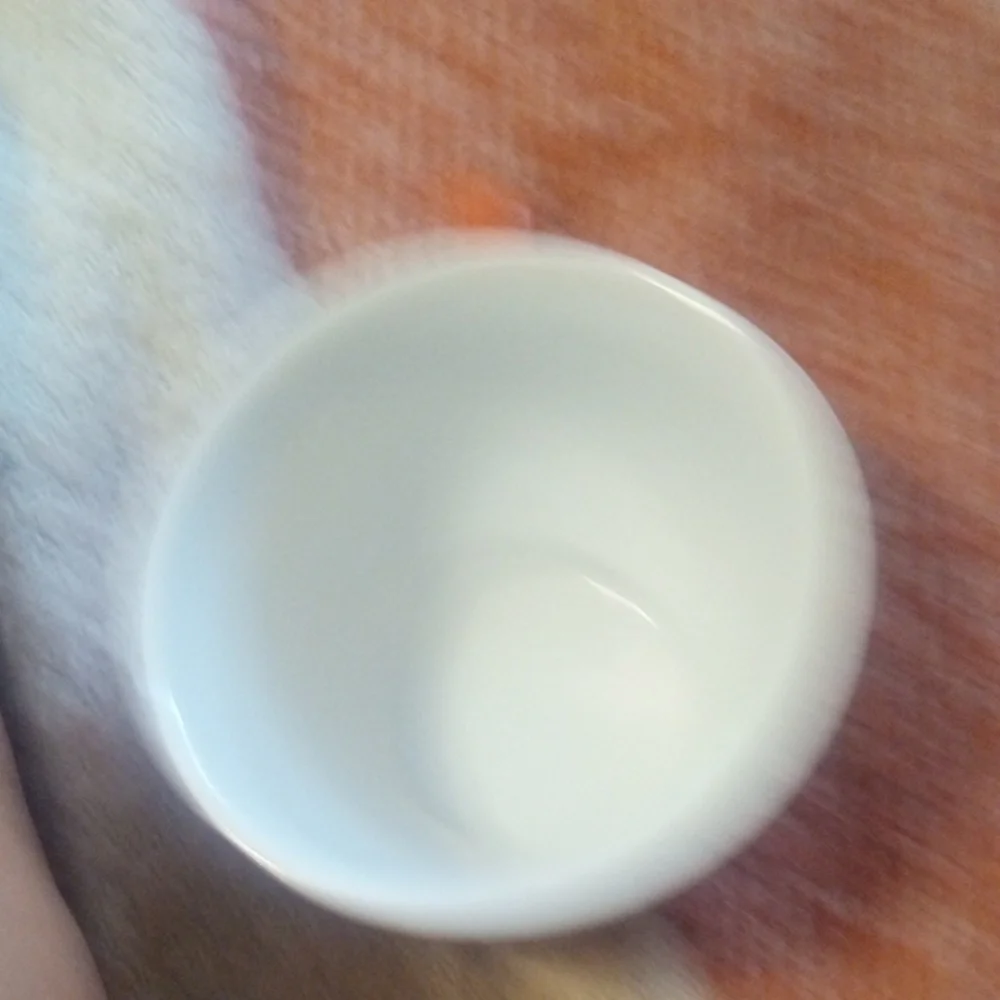 Pier 1 Imports Orange Stoneware Tea Cup